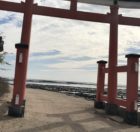 F7958A3F-39F4-4906-A84A-2E536B236AB2