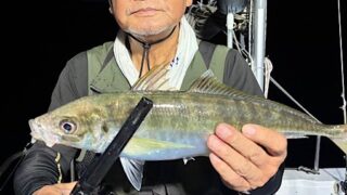 2026年7月13日